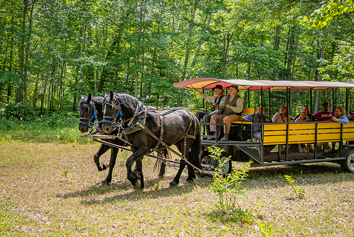 Forest History Center.