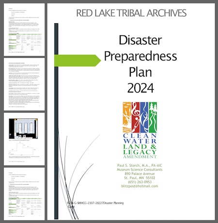 disaster plan cover