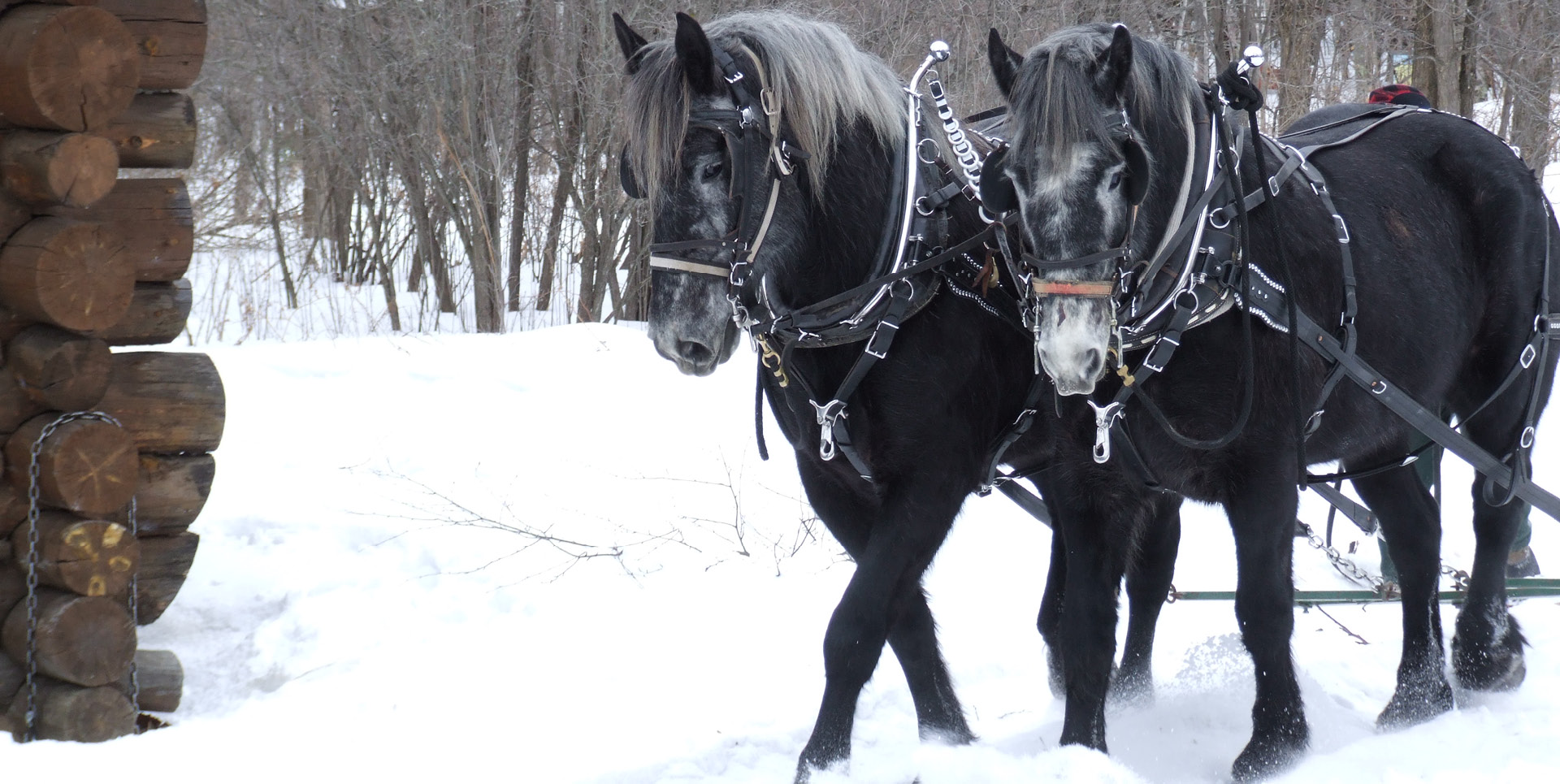 Learn Minnesota Historical Society learn-minnesota-historical-society